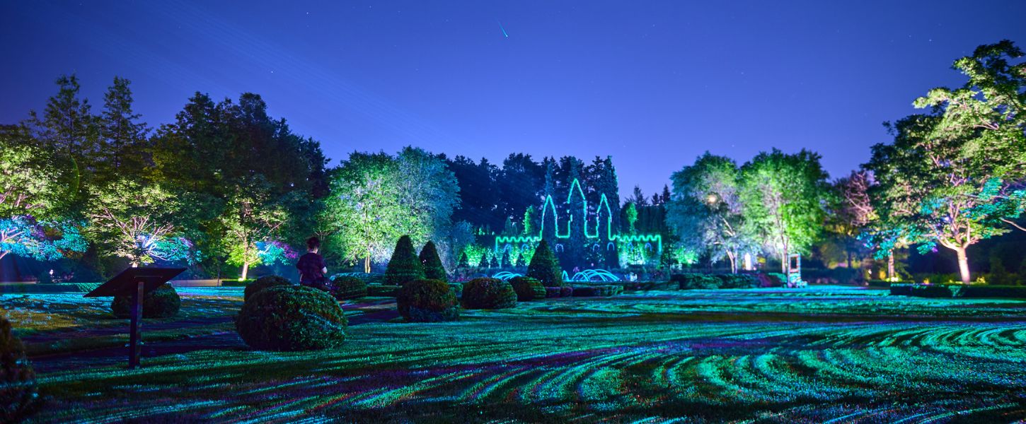 Exposition : Allégeance, illuminations